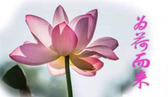 大美濕地 為“荷”而來——5月14日鳴翠湖山地自行車定向越野賽報(bào)名啦！
