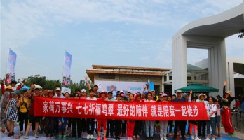 荷葉起舞，花香四溢。千人賞荷徒步行在這里！