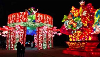 銀川鳴翠湖國家濕地公園燃爆全民春節(jié)旅游熱潮！