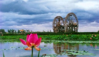 機(jī)不可失！銀川鳴翠湖國(guó)家濕地公園旺鋪火熱招商中！黃金位置，欲租從速！