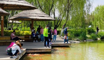 小長假，鳴翠湖湖景火鍋、帳篷露營受熱捧！