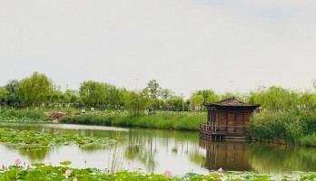 置身花海，芳香自來~~