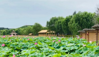 來鳴翠湖的“鳥語林”吧，與上百只孔雀零距離接觸。還有系列活動玩轉你這個周末！