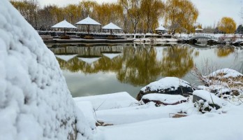 這是20年鳴翠湖遇見的，第一場(chǎng)雪。