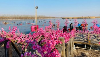 銀川鳴翠湖國(guó)家濕地公園元旦小長(zhǎng)假圓滿收官