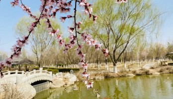 花開正好，攥住春光到鳴翠湖踏青吧！